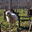 Domaine de SARROS