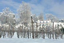 Domaine de SARROS