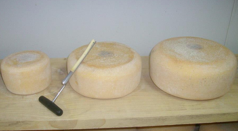 Ferme Peyrecor, fromages de vache