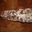 charcuterie Lespoune, SAUCISSON SEC PUR PORC