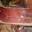 Jambon Sec 7 Mois De Seche