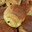 pains au chocolat