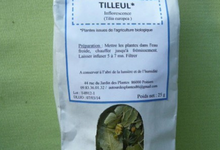 Tilleul