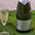 Pétillant "Perles de Villemont" Brut Blanc