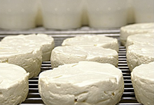 Ferme de la Fayaudrie, Fromage affiné BIO