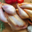 volailles,  Poulets, pintades & canettes 