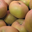 les jardins de la Frolle, Pomme Canada grise