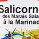 Salicornes