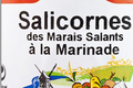 Salicornes