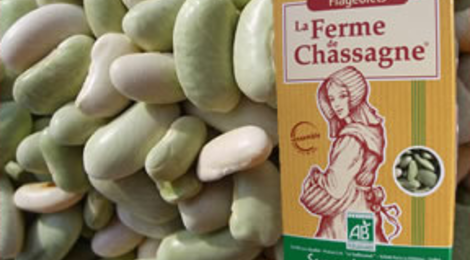 GIE Ferme de Chassagne, Flageolets