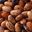 GIE Ferme de Chassagne, Haricots Borlotto