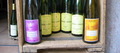 Les vins d'Alsace, élégants dans leurs bouteilles élancées