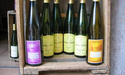 Les vins d'Alsace, élégants dans leurs bouteilles élancées