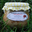 Poularde aux pleurottes