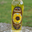 huilerie des petits clos, Huile de tournesol