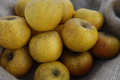 les fruits de Clazay, pomme clochard