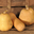 courges bio
