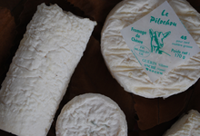 fromages de chèvre