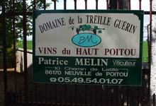 Domaine De La Treille Guerin