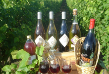 vins du Haut Poitou