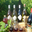 vins du Haut Poitou
