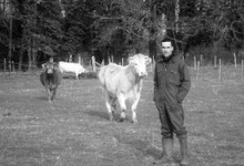 Vincent Grollier, viande bovine