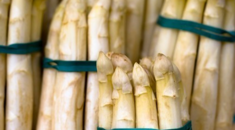 asperges, domaine du centaure