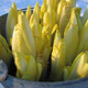 endives de pays