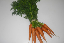 ferme de Rigny,  Botte de carottes