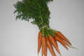 ferme de Rigny,  Botte de carottes