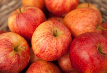 Pomme Gala