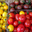 tomates cerise