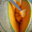 melon du Haut-Poitou