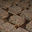 Biscuits noix noisettes et sans gluten