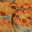 puddings