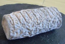 Buche affinée ( 8 jours)