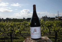Bourgueil JM Amirault