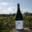 Bourgueil JM Amirault