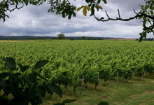 Chateau Du Petit Thouars