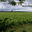 Chateau Du Petit Thouars