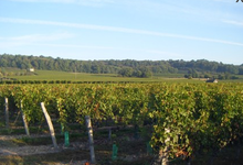 Boisar Fils, domaine du Mortier