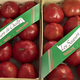  Tomates anciennes coeur de boeuf, Les Saveurs de Chailly 