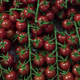  Tomates cerises grappes, Les Saveurs de Chailly 