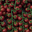  Tomates cerises grappes, Les Saveurs de Chailly 