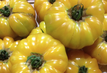  Tomates anciennes ananas, Les Saveurs de Chailly 