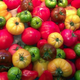  Tomates anciennes andines cornues, Les Saveurs de Chailly 