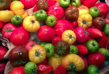 Tomates anciennes noires, Les Saveurs de Chailly 