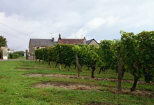 domaine d'Etilly, Hervé Desbourdes