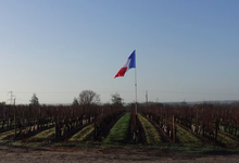 Clos Du Vigneau, domaines Jamet