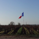 Clos Du Vigneau, domaines Jamet